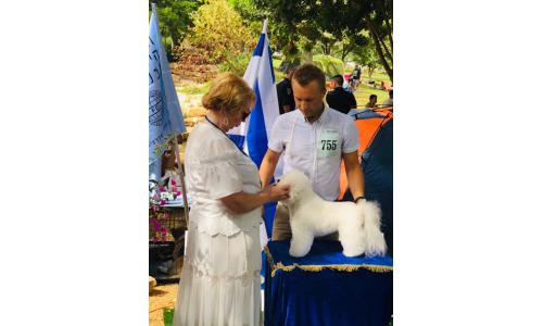 Международная выставка собак в Израиле 20.10.2018