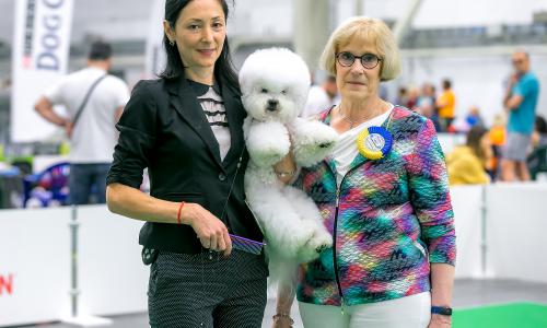 Международная выставка собак в Киеве 23.08.2019 - 25.08.2019