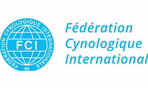 Что такое FCI?